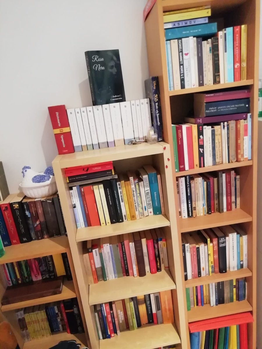 rosaneraromanzo's tweet photo. Nel posto che meriti.
#libri #libridaleggere #librichepassione #libriconsigliati #leggere #bookstagram #books #bookslover #libriamo #fantasy #fantasybooks #fantasyworld #bookstagramitalia #rosanera #rosaneraromanzo #amazon #selfpublishing #kindle #amazonkdp #amazonkdpselect https://t.co/RisY9N9znq