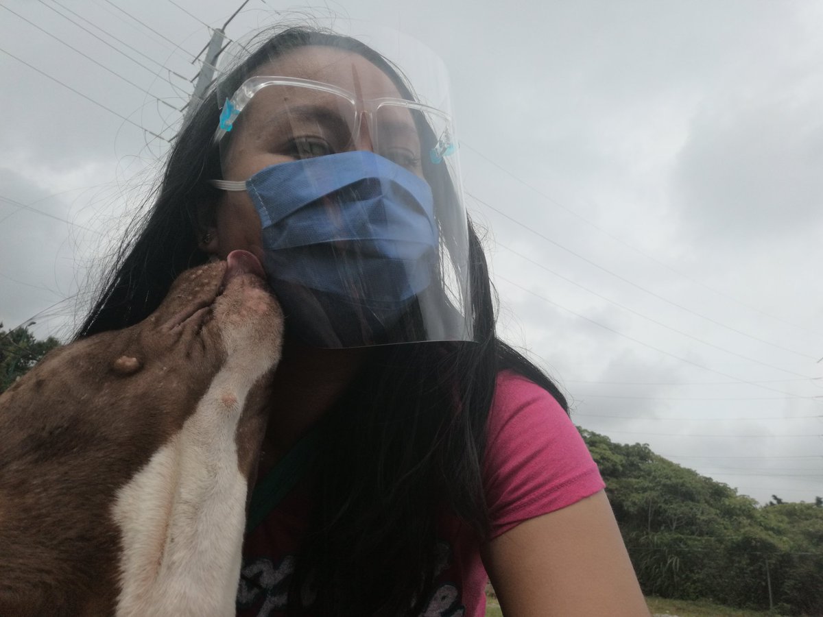 cin_trinidad's tweet photo. Hoy los perritos del albergue #AdaAzul en #Xalapa recibieron una donación importante de comida🐶..
Y Coco, esta muy contento🥰 https://t.co/hnIWaCEPFU