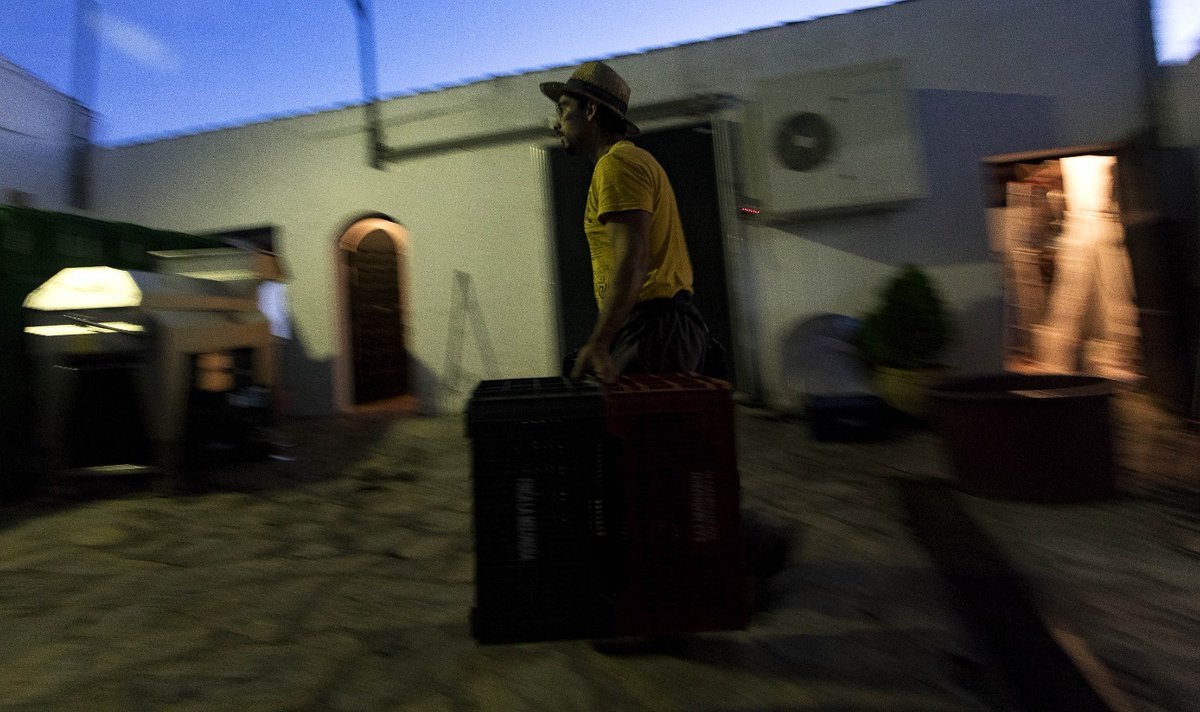 BoscoMartin's tweet photo. Amanece en Moclinejo. Tiempo de vendimia. Trasiego de cajas, limpieza y almacenaje. 

@VVerticales
@dimobebodegas

#axarquia #dimobe #viñedosverticales #moclinejo #malaga #winemaker #photography #fotografia #portraitphotography #portrait #retrato #bnwphotography #bnw https://t.co/ouESY5JUYg