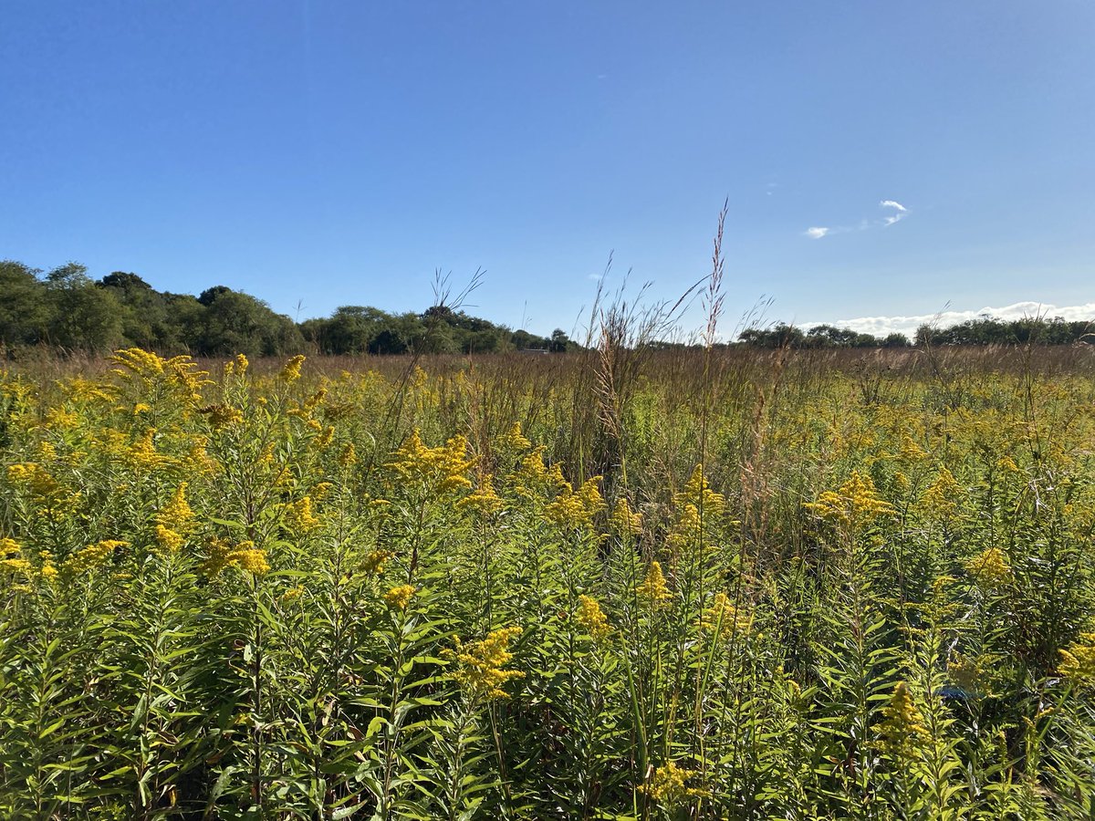 RIHispanicLink's tweet photo. Wakefield, Rhode Island #PublicSpaces https://t.co/XL6Q9yPUZV