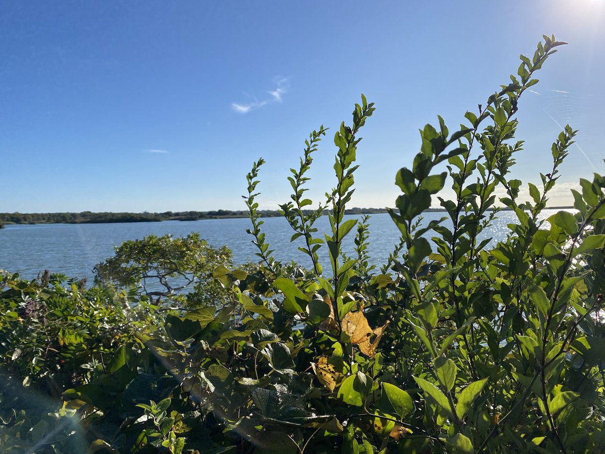 RIHispanicLink's tweet photo. Wakefield, Rhode Island #PublicSpaces https://t.co/XL6Q9yPUZV