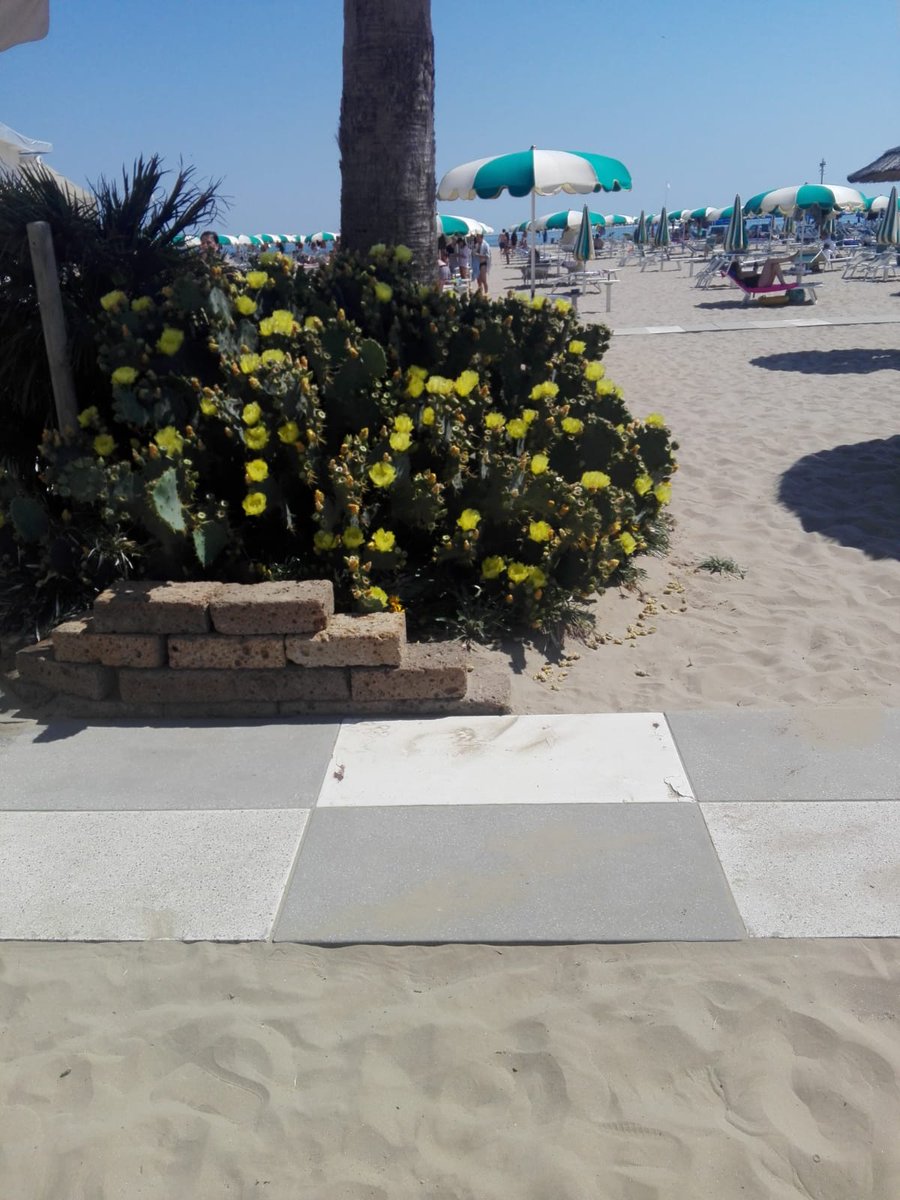 #13settembre
Invecchiando ho scoperto una cosa. Non ti devi spiegare se non ne hai voglia. 
Julian Barnes ✒

#buonadomenica amici e viandanti, resetto e ho bisogno di una lunga pausa per rimuovere le delusioni 
Ho sbagliato troppo.