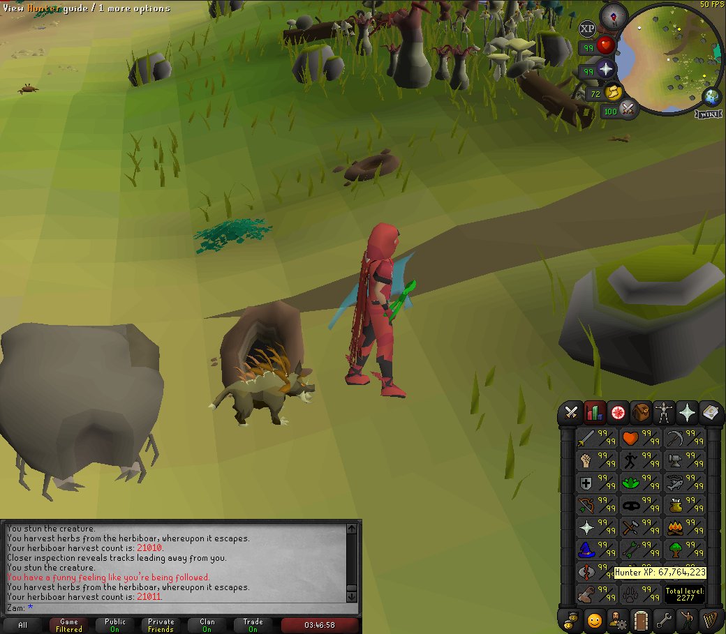 pix Herbiboar Pet Rate zam slayamasters slayamasters twitter