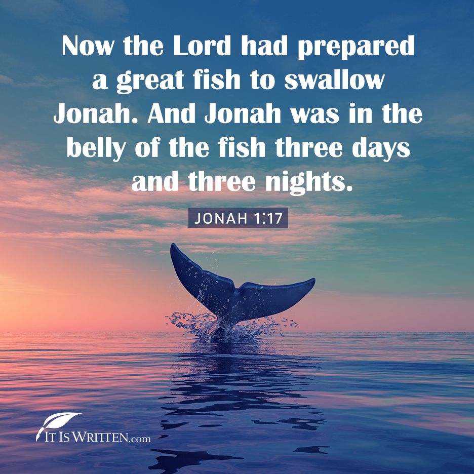 itiswritten's tweet photo. Sometimes it takes a long time and tight places for us to stop running from God’s mission.

#mission #jonah #whale #fish #ocean #sea #Godsplan #ministry #itiswritten #VerseOfTheDay https://t.co/wLrSyr81Ge