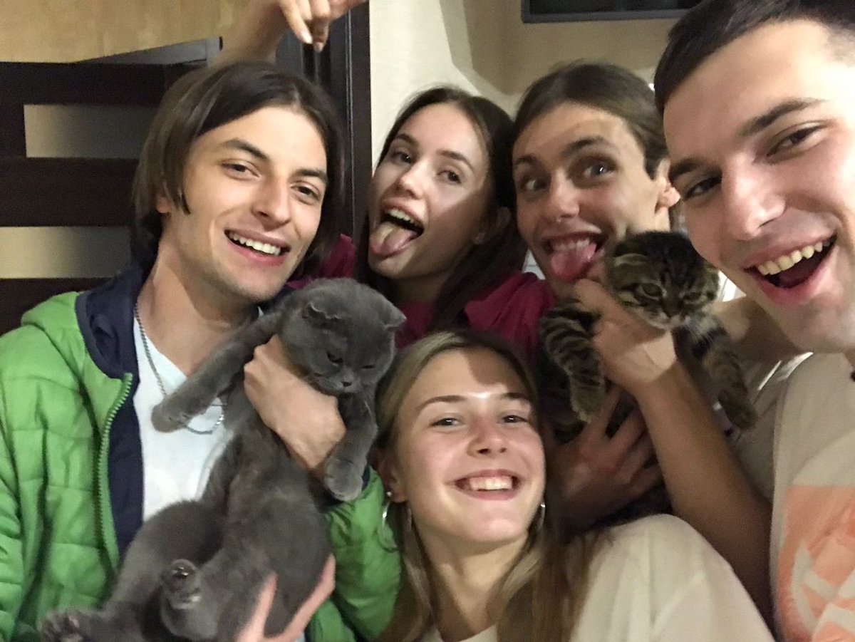 CarlGarl's tweet photo. Kitten party https://t.co/MNQyLU1erH