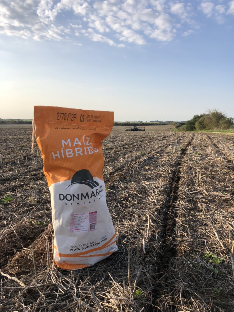 Comienza una nueva zafra de verano. Siembra maíz 🌽. Villa Trigo. <a href="/DONMARIOoficial/">DONMARIO Semillas</a>