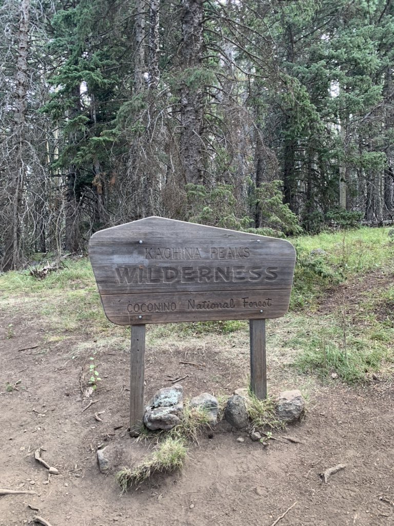 Brian Weirich tweet media