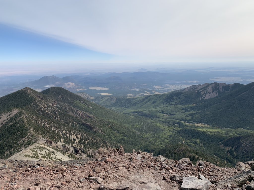 Brian Weirich tweet media