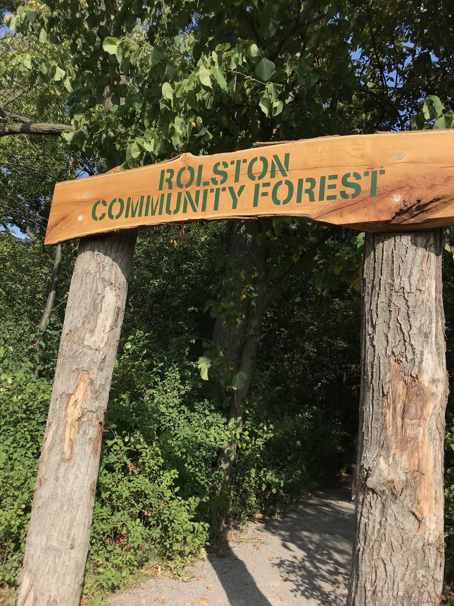 DrGiuliana's tweet photo. Spent a peaceful afternoon checking out #Rolston #CommunityForest. Lovely little patch of oak, shagbark woods in #HamOnt. Right beside 3 schools & several apartments these kinds of #urbanforest patches are so important to steward & invest in! Kudos @cityofhamilton @HamiltonNature https://t.co/Kus5Am2ACB
