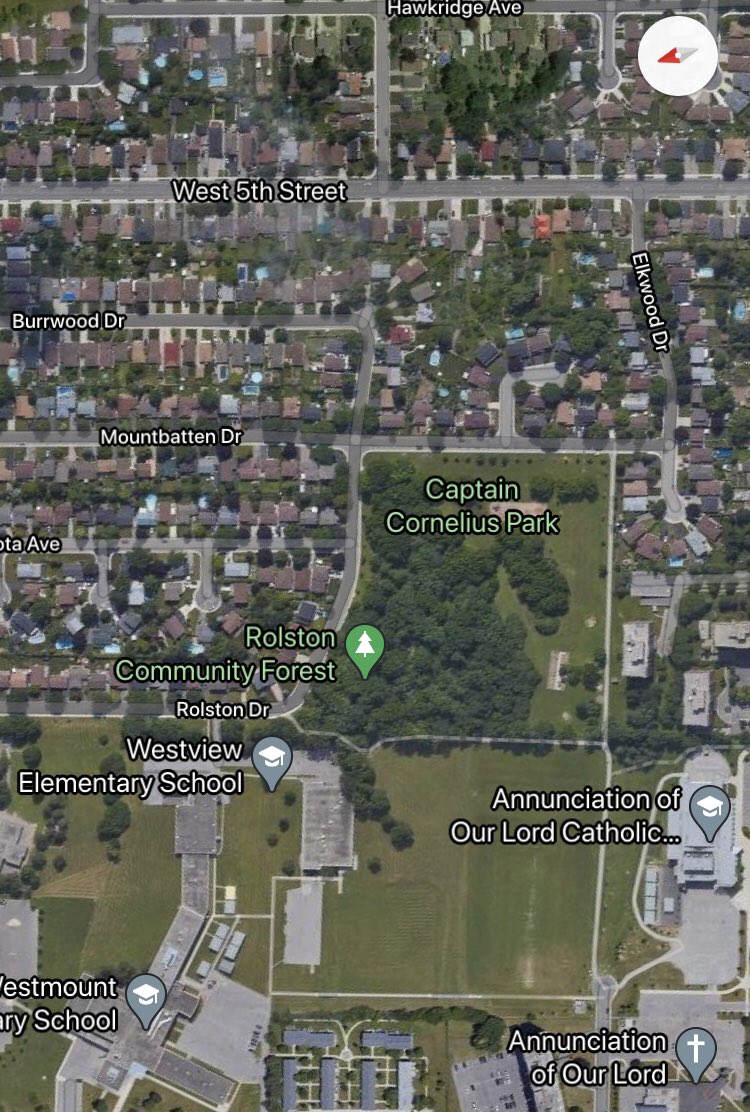 DrGiuliana's tweet photo. Spent a peaceful afternoon checking out #Rolston #CommunityForest. Lovely little patch of oak, shagbark woods in #HamOnt. Right beside 3 schools & several apartments these kinds of #urbanforest patches are so important to steward & invest in! Kudos @cityofhamilton @HamiltonNature https://t.co/Kus5Am2ACB