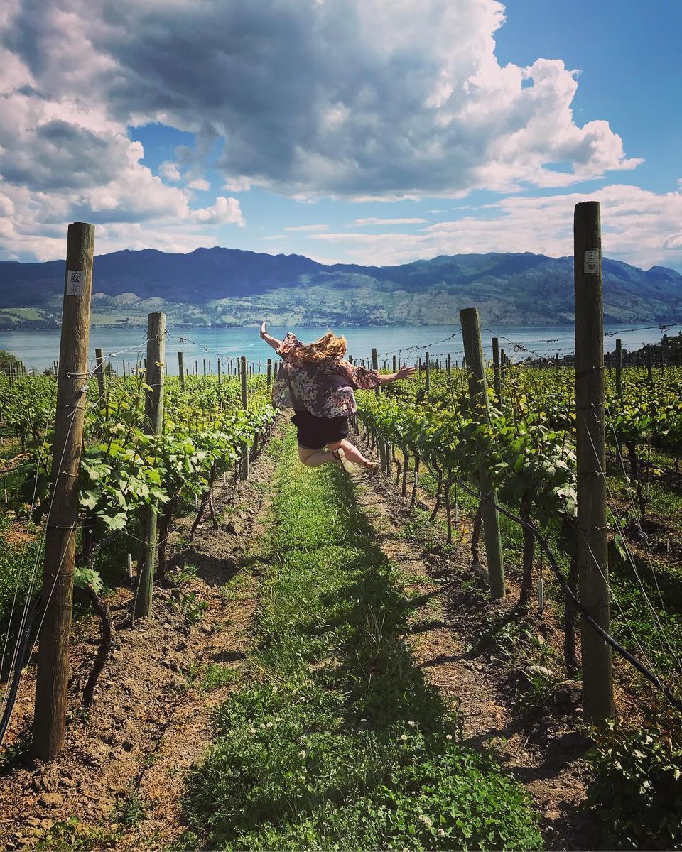 BCWine's tweet photo. Take a moment to vote! The Final Five have been shortlisted for the #SipLoveLocal grand prize! You choose who takes home a #BCWine getaway for two valued at $5000. Terms & Conditions apply. Visit link to vote 🗳️https://t.co/38VuHrVP9i @HelloBC https://t.co/nslCt3UhNi
