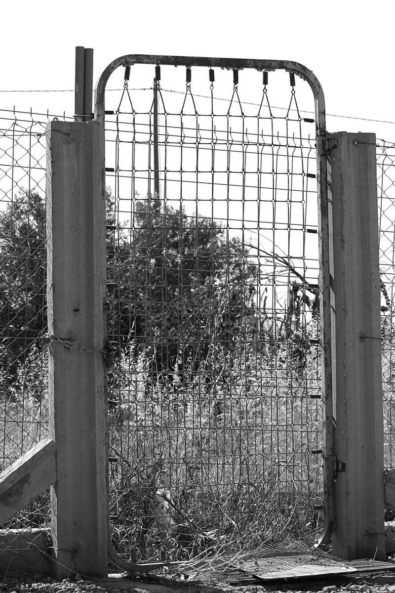 DiegOrtega1's tweet image. Doors of Castilla y León.