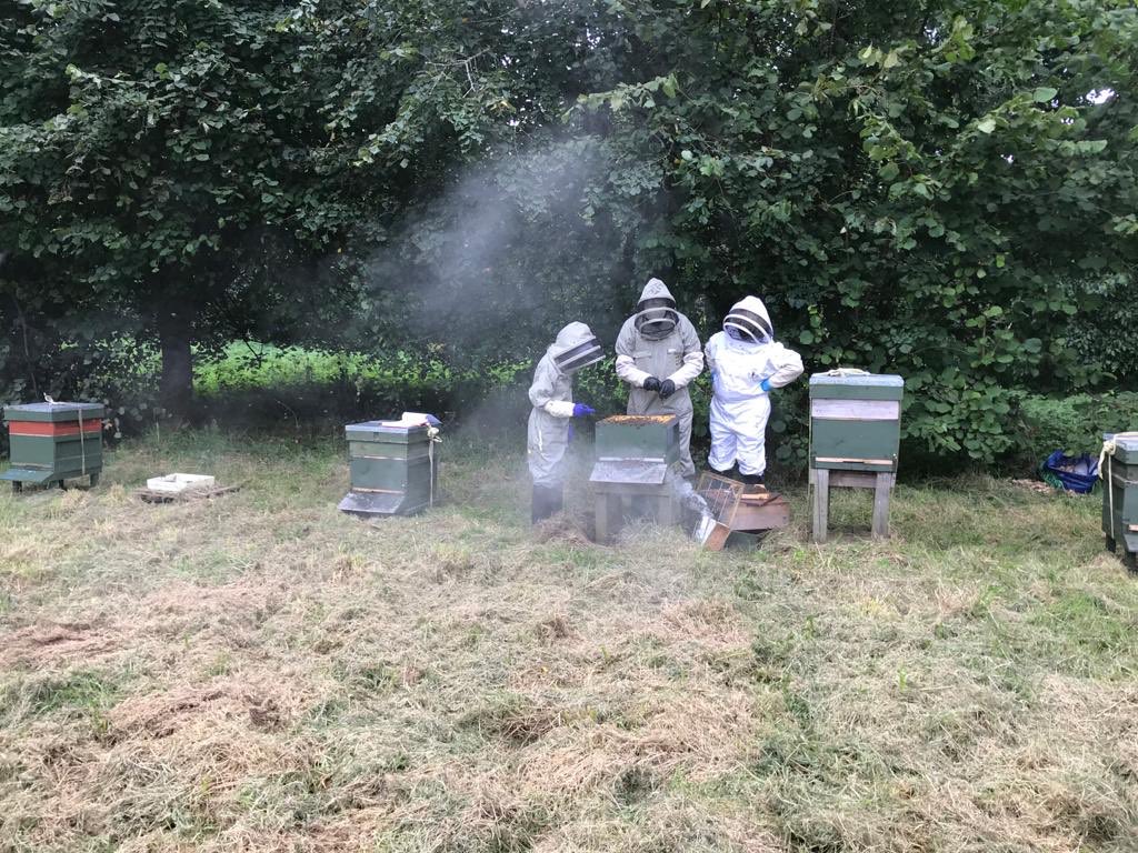 At long last! This years beginners class are getting some hands on experience, in small,socially distanced groups. This lovely image is of a “family bubble” and 3 generations all learning beekeeping together 👏 
#familyhobby <a href="/ulsterbees/">Ulster Beekeepers .</a> <a href="/britishbee/">BBKA</a> <a href="/Scotbeekeepers/">Scottish Beekeepers</a>