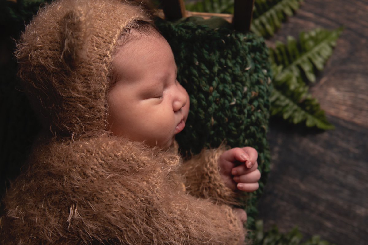 shanttherant's tweet photo. Zander Ramses 🧸🌿 https://t.co/7Y913HAdZC