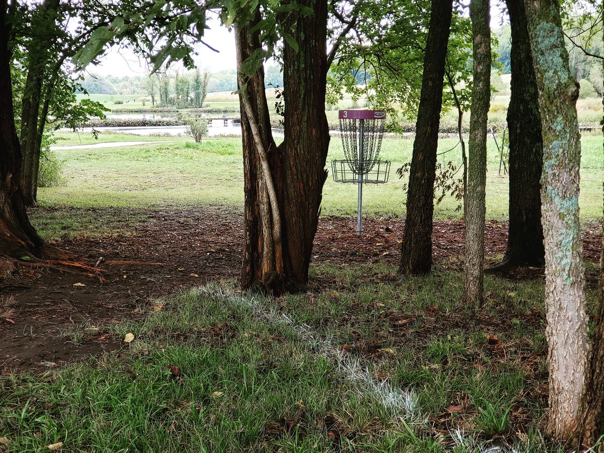 CassDisc tweet picture
