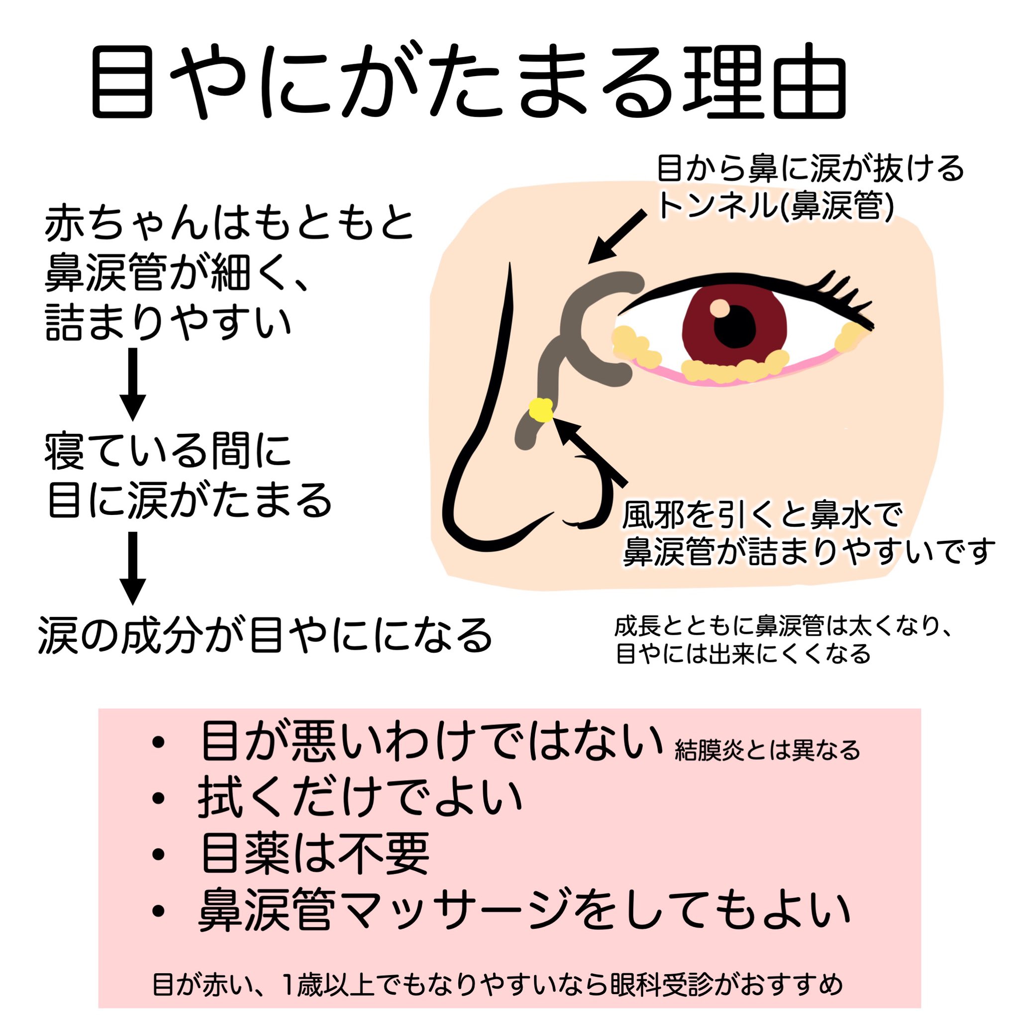 ぽん 3104 U Twitter