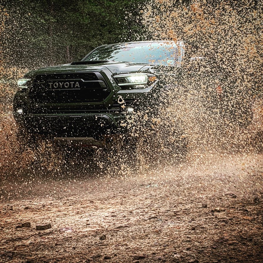 William Byrd tweet media