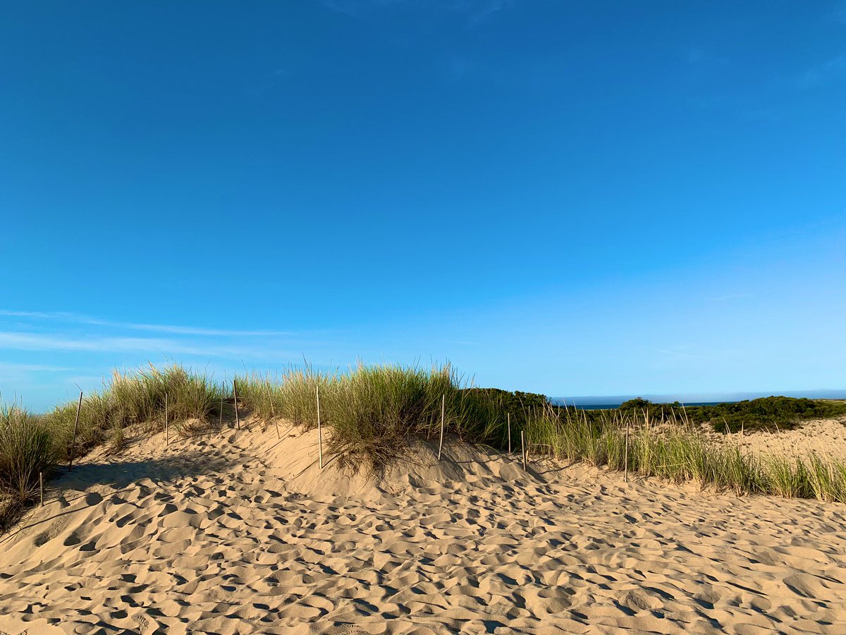 SashaEats's tweet photo. @SouthernerSays @ArtsDuneTours @RoarLoudTravel @CharlesMcCool @RickGriffin @TimSamsTravelUS @traveling1223 @Travelnpack @tangoandrakija @TravelAtWill @travelingmitch We love Cape Cod, Lori. Everything looks like a painting there. #VisitMA #CapeCod #SashaInPtown #travel #CapeCodNPS https://t.co/dDymrzoU2L
