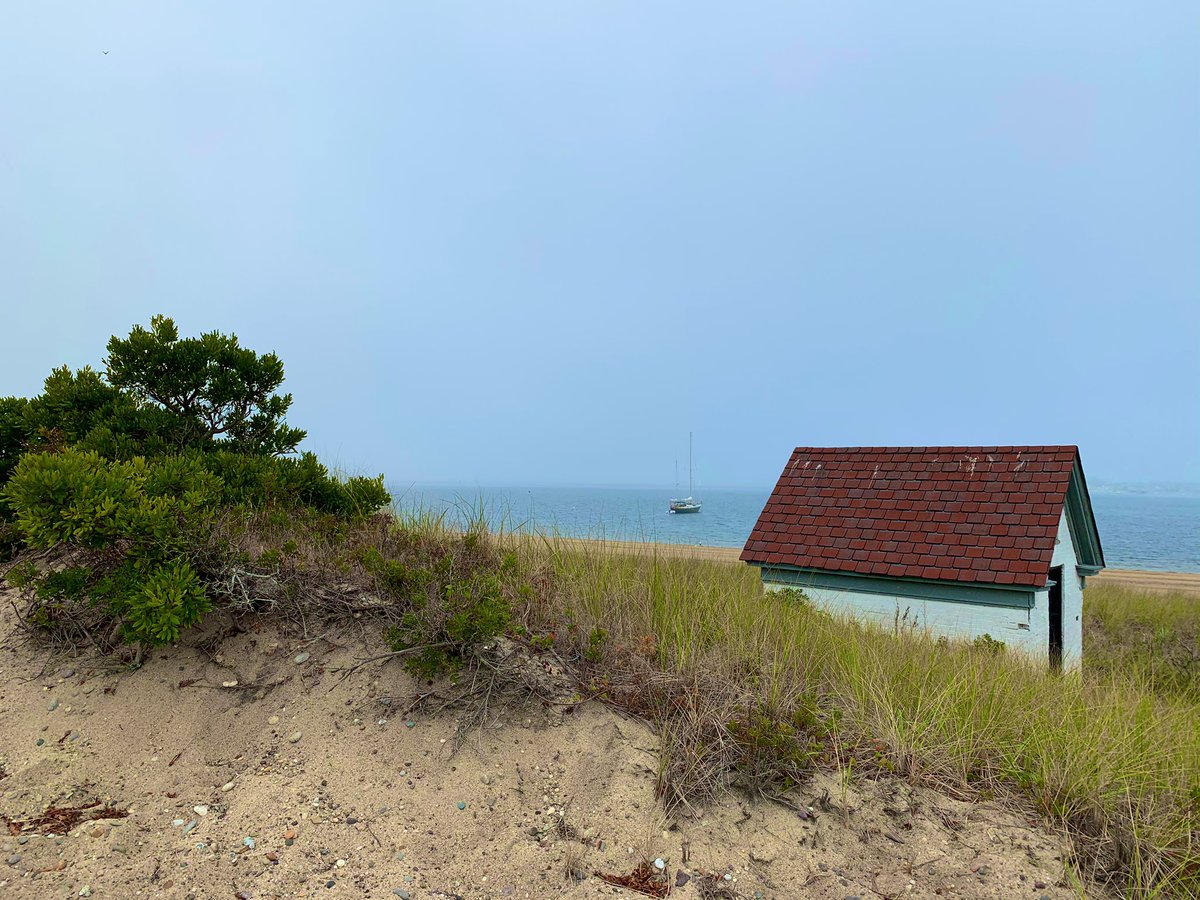SashaEats's tweet photo. @SouthernerSays @ArtsDuneTours @RoarLoudTravel @CharlesMcCool @RickGriffin @TimSamsTravelUS @traveling1223 @Travelnpack @tangoandrakija @TravelAtWill @travelingmitch We love Cape Cod, Lori. Everything looks like a painting there. #VisitMA #CapeCod #SashaInPtown #travel #CapeCodNPS https://t.co/dDymrzoU2L