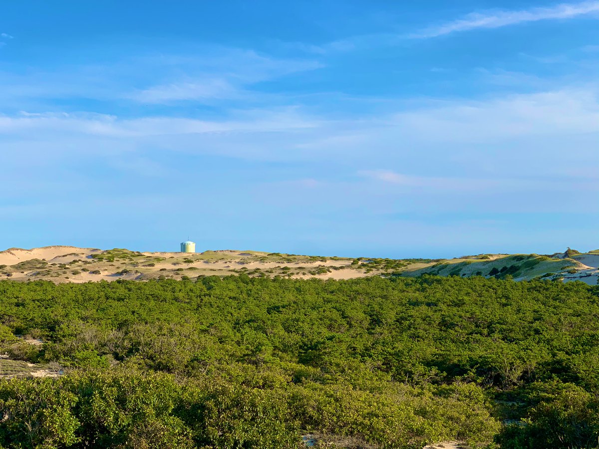 SashaEats's tweet photo. @SouthernerSays @ArtsDuneTours @RoarLoudTravel @CharlesMcCool @RickGriffin @TimSamsTravelUS @traveling1223 @Travelnpack @tangoandrakija @TravelAtWill @travelingmitch We love Cape Cod, Lori. Everything looks like a painting there. #VisitMA #CapeCod #SashaInPtown #travel #CapeCodNPS https://t.co/dDymrzoU2L