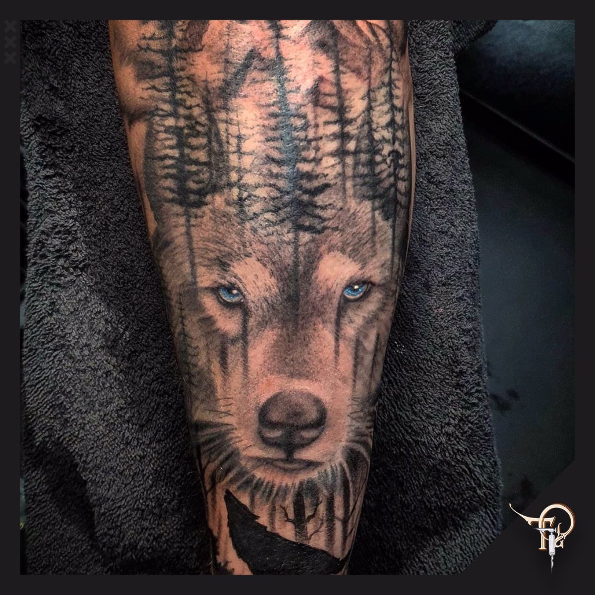tattoopalaceams's tweet photo. Our tattoo artist Kevin created this wonderful tattoo 🐺🔥 #tattoo #inkspiration #realistictattoo #treetattoo #amsterdamtattoo #wolftattoo #contrast #contrasttattoo #sleeve #tattoosleeve #amsterdam #twittertattoo #tattoosoftwitter #tattooartist #tttism https://t.co/cdjzBdw40B