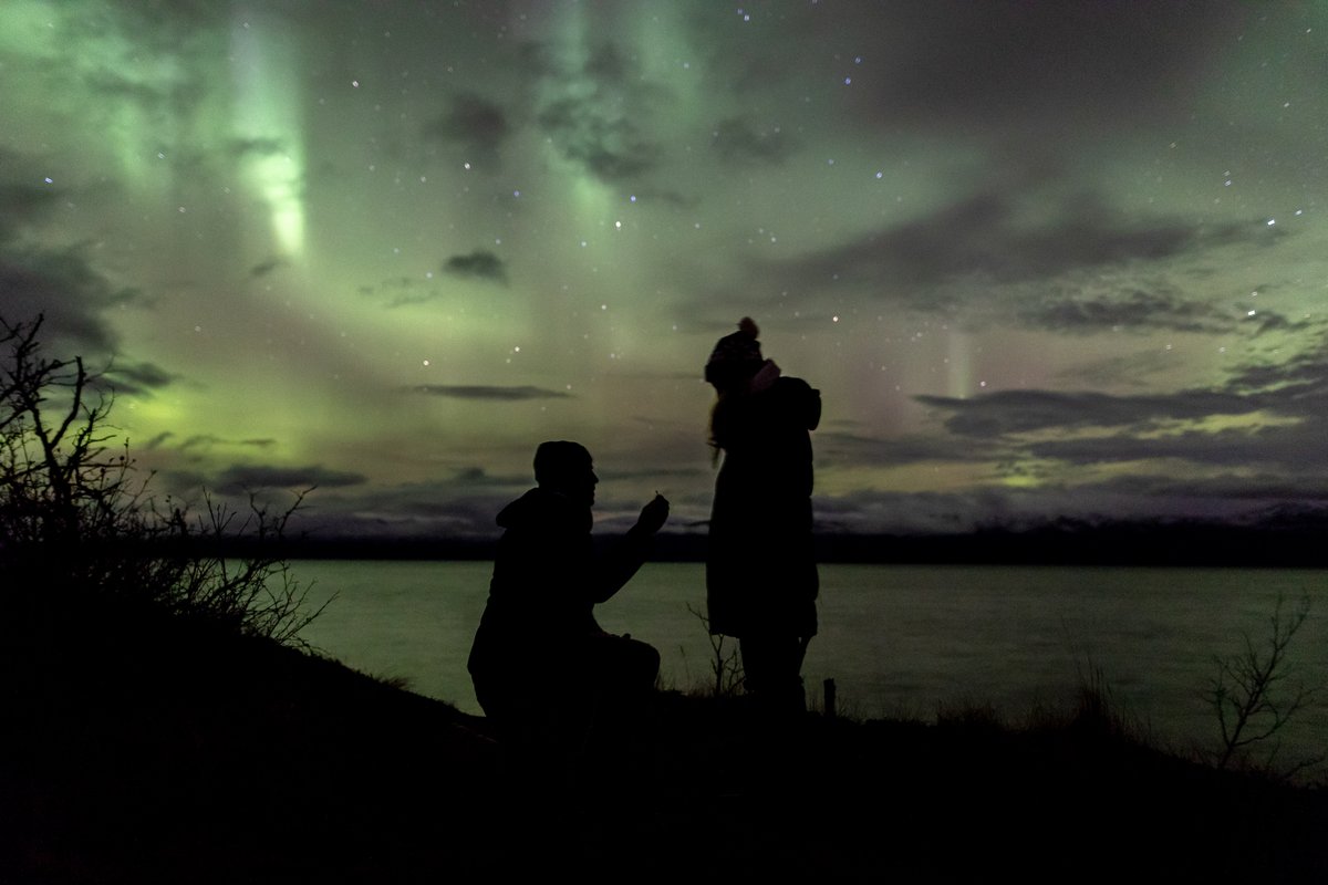 The Travel Magazine tweet media