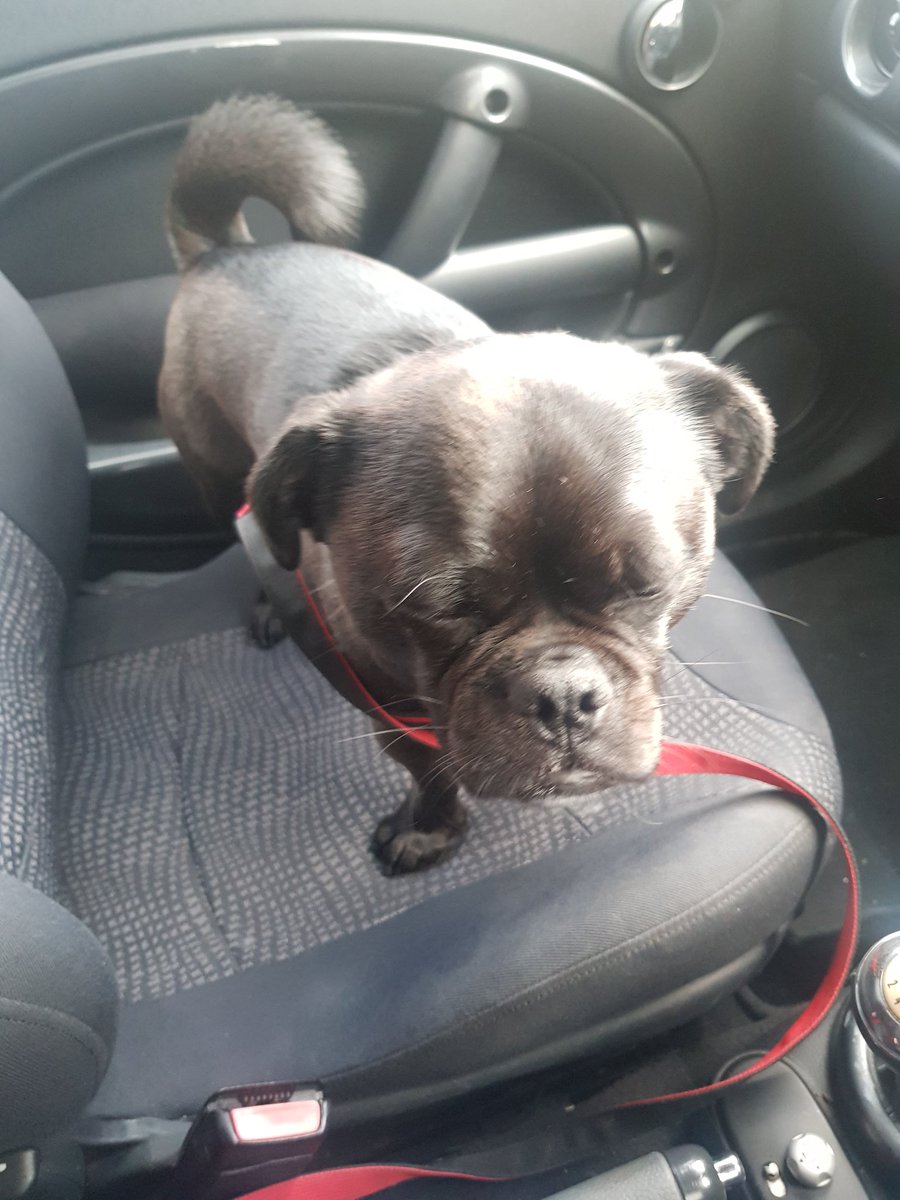 oreo_carpenter's tweet photo. Blinking in them car #blinking #outinthecar #loveblinking #quickblink #Blink https://t.co/5GYWHW5C61
