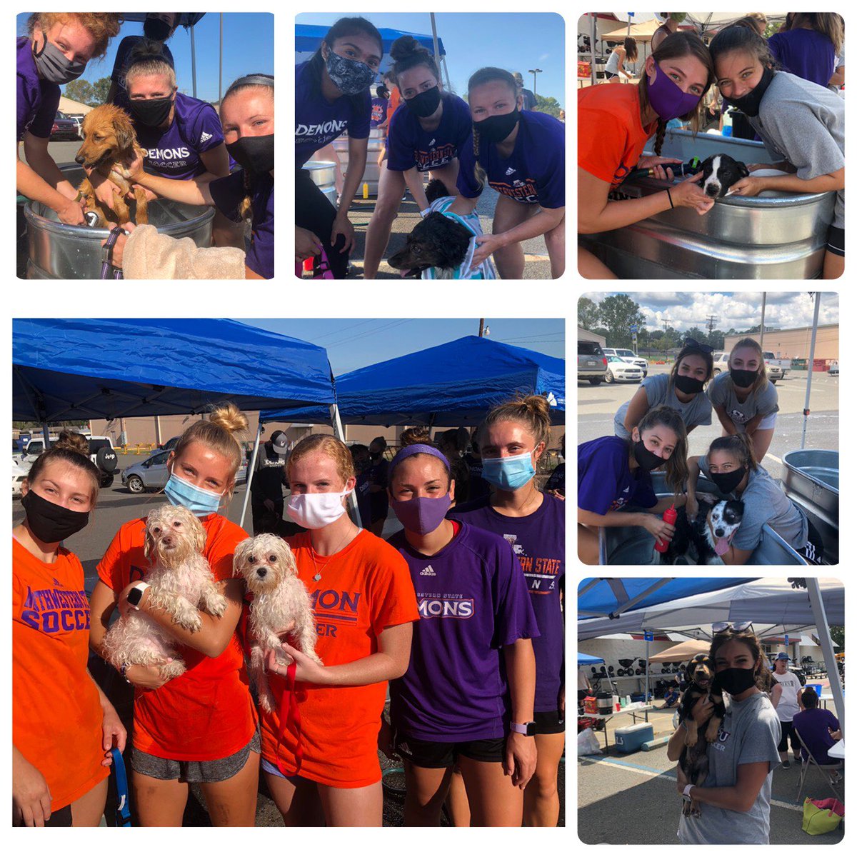NSUDemonsSOC's tweet photo. This morning we had the incredible opportunity to help the Natchitoches Humane Society bath some dogs🐶 It was extremely fun and we can’t wait until we have this opportunity again #nsula https://t.co/eEFkua8eeX