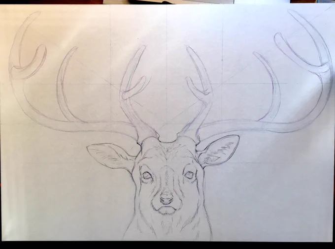下描き

構図が決まったら、A2パネルに水張りしたケント紙に直接下描きしていきます。

消しゴムで消せる色鉛筆(uni / アーテレーズカラー)でラフを描き、鉛筆で細かく描きこみます。

紙が大きいので、補助線を引きつつ左右対称になるように気をつけました。

右が動物界、左が植物界です。 
