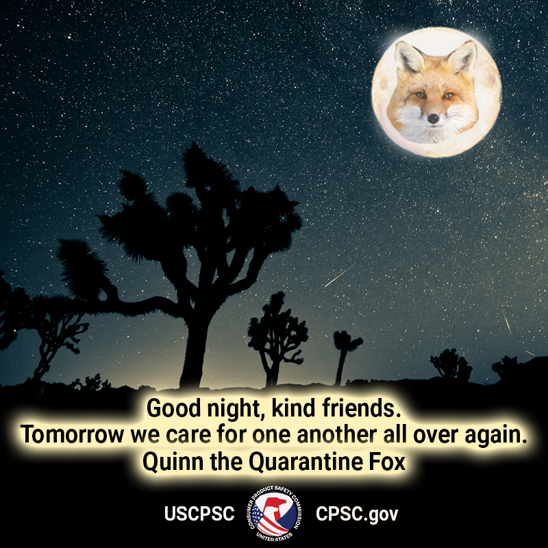 A fox in the moon over Joshua tree national park. The text reads: Good night, kind friends. Tomorrow we care for one another all over again. Quinn the Quarantine Fox.