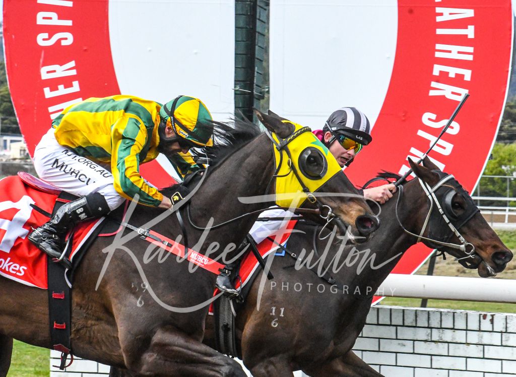 Race 2 at Devonport 
Ladbrokes Maiden 

Winner : Aragon Star 
Jockey : S.Carr 
Trainer : L.Gaffney