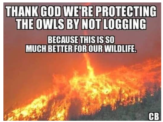 Davis R. (@davisr41717351) on Twitter photo 