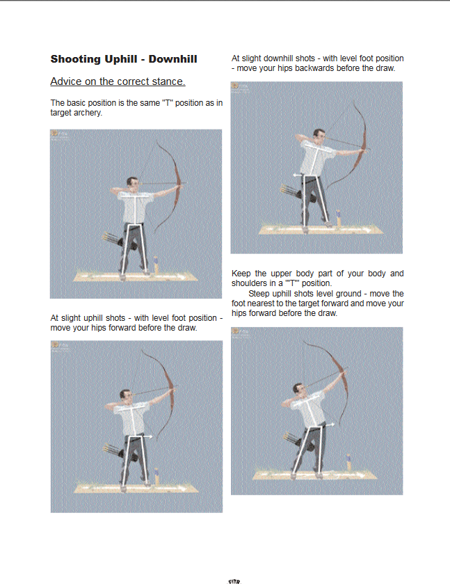 "Field_Guidelines-e.pdf" - A digital PDF of the FITA Field Archery Guidelines, used for reference for the development of Wii Sports Resort's Archery minigame.