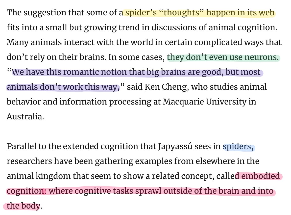 Maybe we should use our brains less. Just as humans think with paper, spiders think with their webs."Spiders appear to offload cognitive tasks to their webs, making them one of a number of species with a mind that isn’t fully confined within the head." https://www.quantamagazine.org/the-thoughts-of-a-spiderweb-20170523/