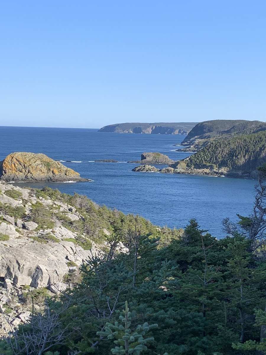 White Horse Path from Bauline to Cape St. Francis is a new hiking trail (2015) on the @EastCoastTrail. This is a 18.2 km strenuous hike with sharp climbs & descents. Coastal views are spectacular! #ECTLove @TheGreatTrail @NLtweets #HikeNL #ExploreNL