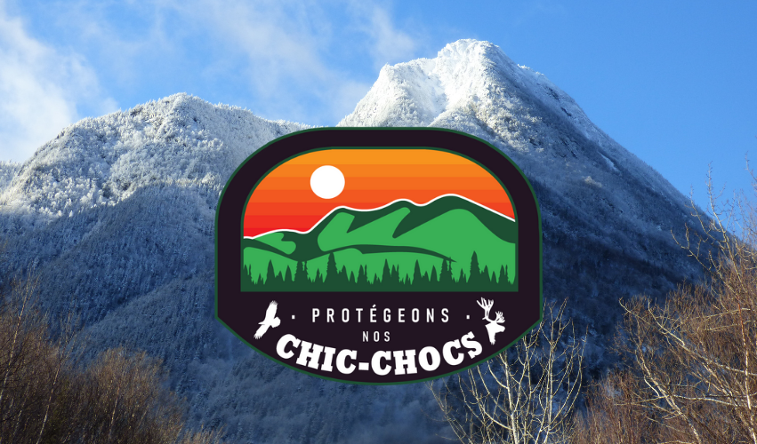 snapqc's tweet photo. [ Partagez cet appel à l'action 💚 ] Les monts #ChicChocs ont besoin de protection. Il faut protéger ce joyau naturel et les six autres du Bas-Saint-Laurent d'ici la fin de l'année!

#protegeonsnoschicchocs 

@francoislegault @CharetteB @caroaubureau https://t.co/HE1OdQS2Uj