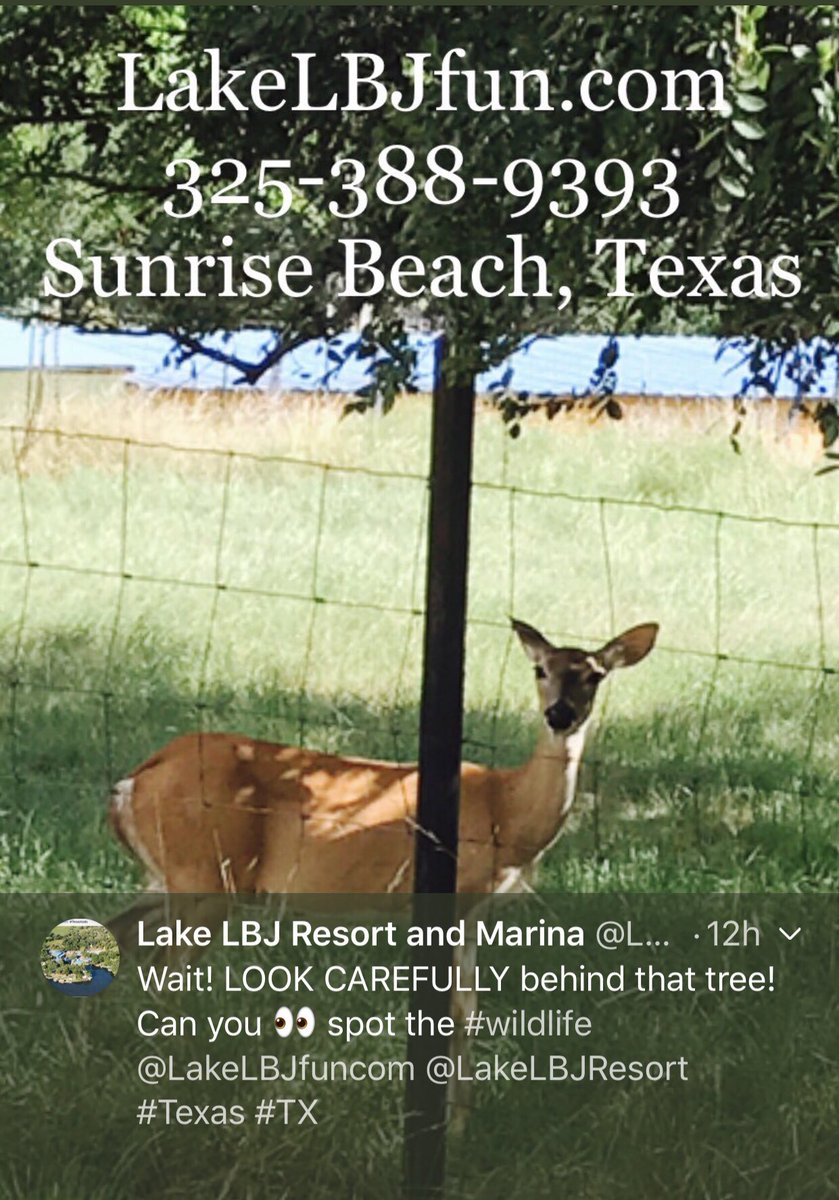 LakeLBJfuncom's tweet photo. https://t.co/JT8K580xu1 Google map link⤵️ #OutdoorFamilyFun
https://t.co/SVXhv4p6fL
https://t.co/hinzEEQO9M https://t.co/6uugdSOAZR
