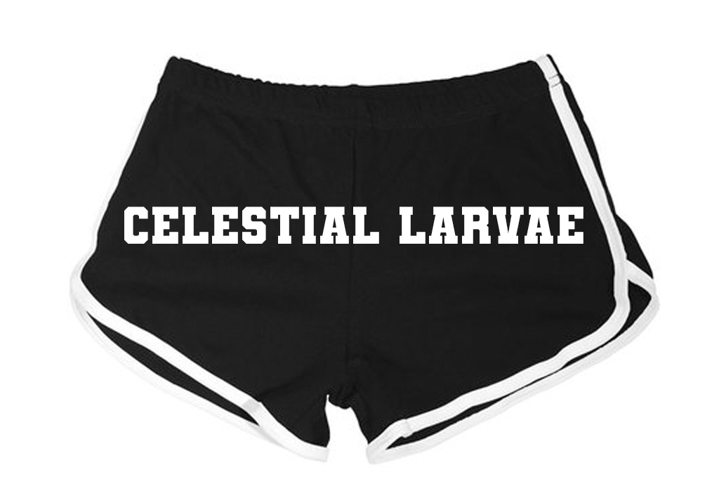 aquila @ 🟦☁️ tweet media