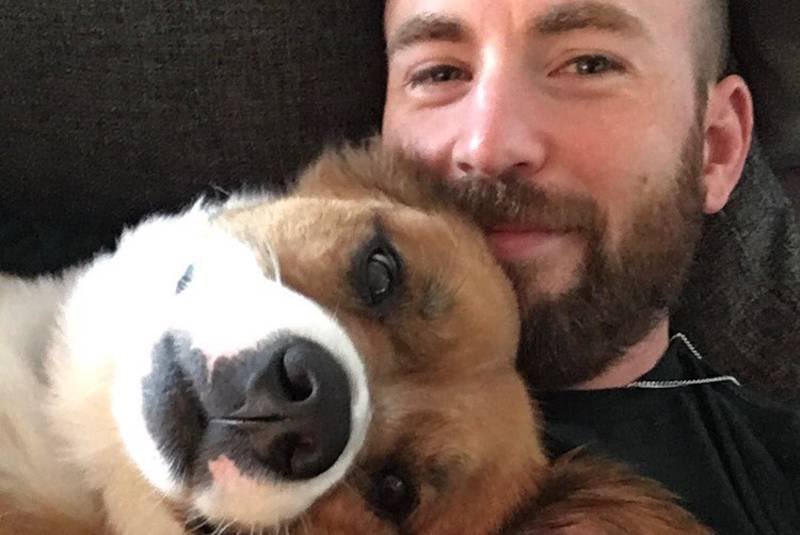 GeneracindeCri2's tweet photo. Que feo que solamente reconozcan el “pack” de Chris Evans y no lo bueno que ha hecho a lo largo de su carrera. 
Abro Hilo: https://t.co/enNYd6tl89