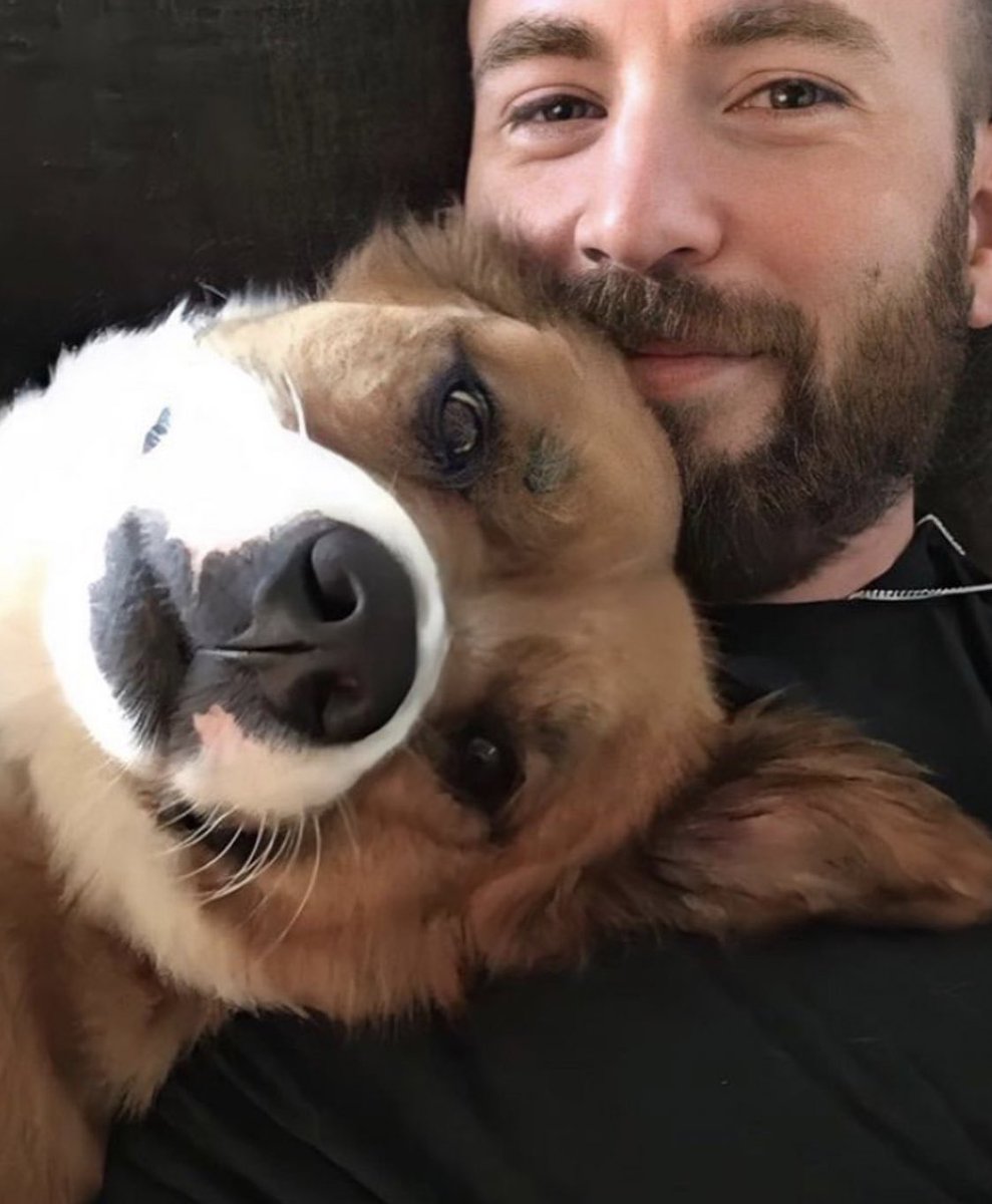 NatJohansson96's tweet image. Voy a dejar estas hermosas fotos de Chris Evans con Dodger 🤍 Respeta la privacidad de las personas.
