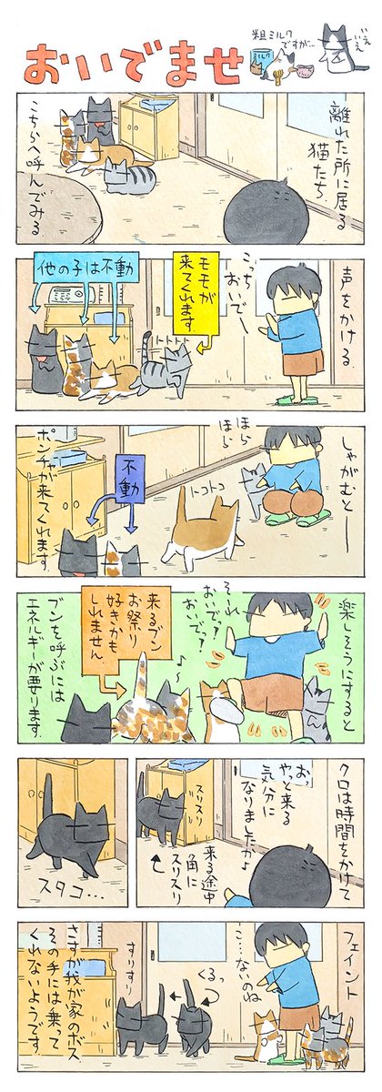 「こっちこっち」
こちらが猫への対応の仕方を
心得ているように、
猫もこちらの扱いはお手のもの。
(久保智昭さんの「猫色スケッチブック」)他一枚更新しています。⇒https://t.co/LNhJg3Y5k5 