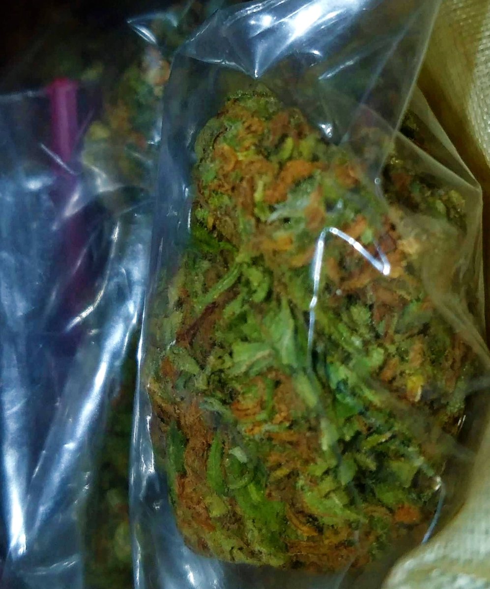 nutlexilore's tweet image. O RA N GE ✨

dm moko baby 😋😋