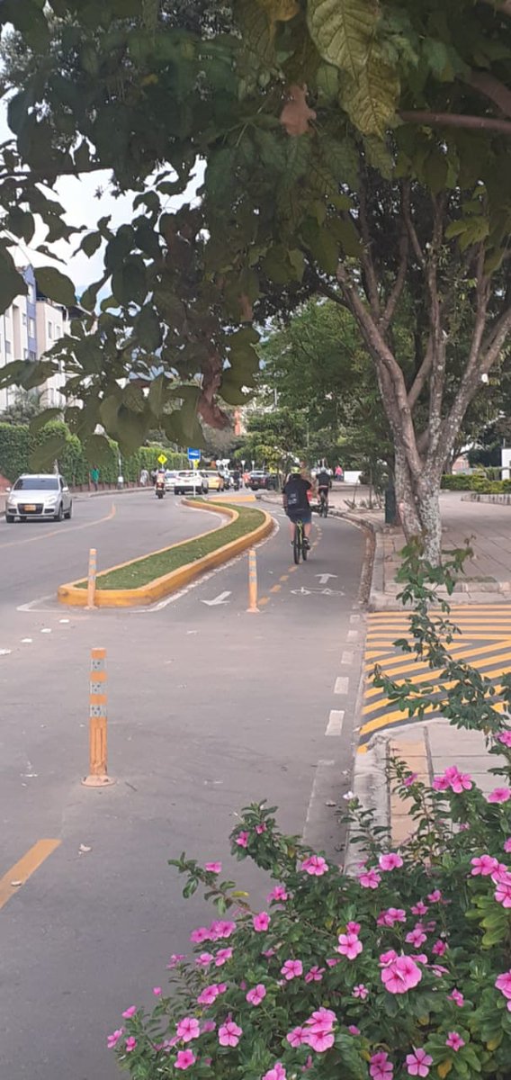 Algunos decían que las ciclorutas no servían para nada, que era un robo, etc. en fin una sarta de mentiras en beneficio de la politiquería. Hoy la realidad es que #Bucaramanga comienza a apropiarse de sus espacios, y también defiende su Páramo de #Santurbán. #NoAflojemos