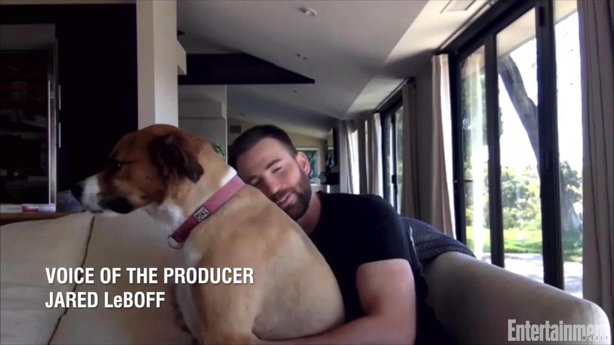 itztashazshield's tweet image. Chris evans and dodger the only pictures we actually need