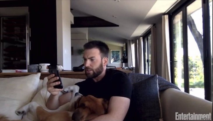 itztashazshield's tweet image. Chris evans and dodger the only pictures we actually need