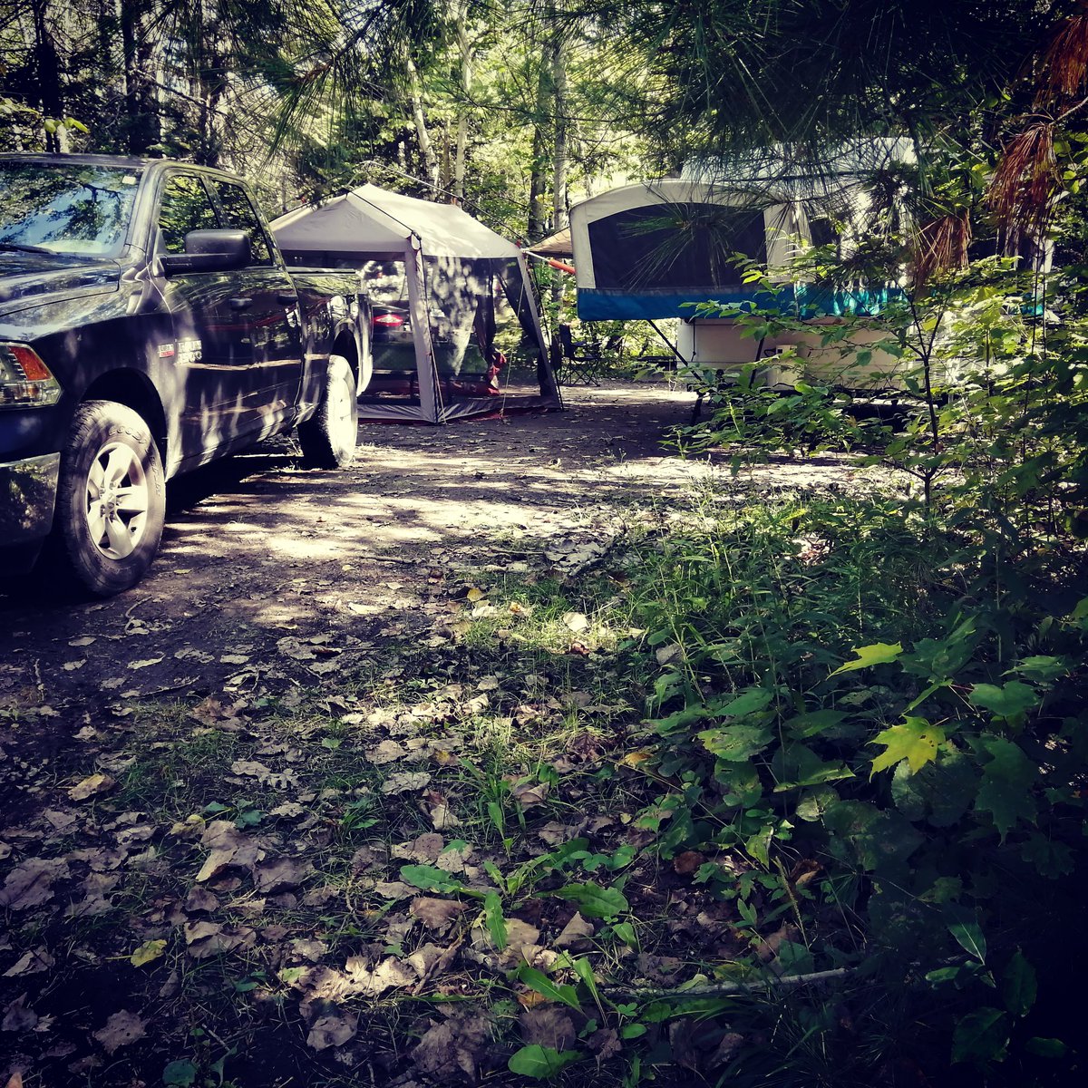 kb2_r's tweet image. Enjoying a lovely fall weekend