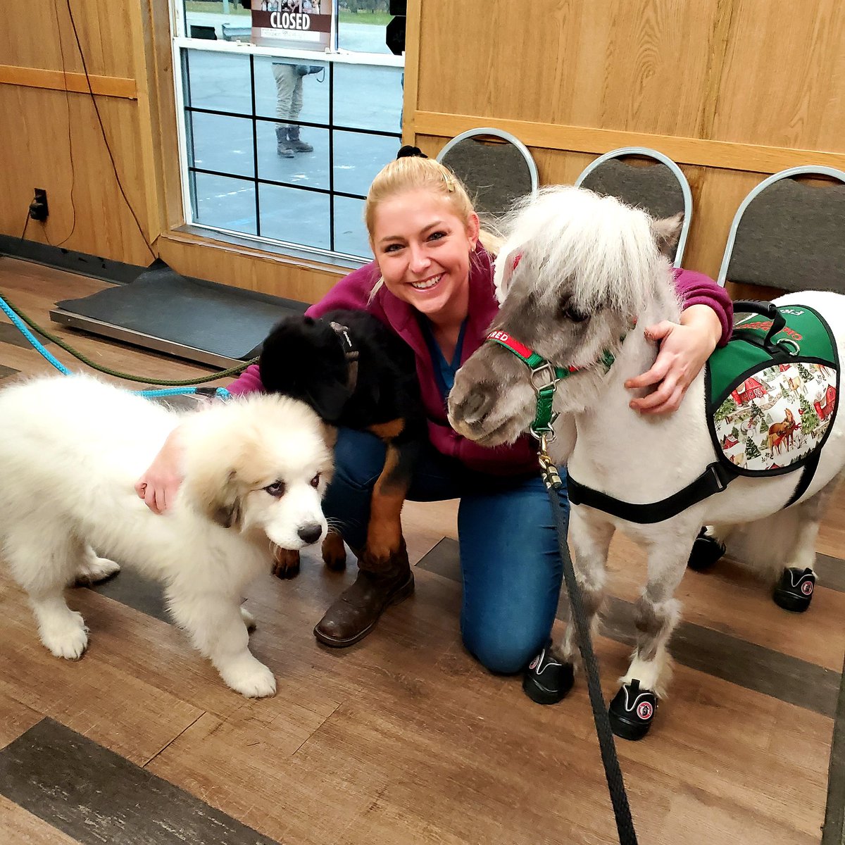 <a href="/DrPol/">Dr. Pol</a> <a href="/DrNicoleArcy/">Dr. Nicole Arcy</a> @natgeowild Dr. Nicole got some Fred and puppy love as well.  I think Fred was a little jealous sharing the attention but everyone loves cute adorable puppies.