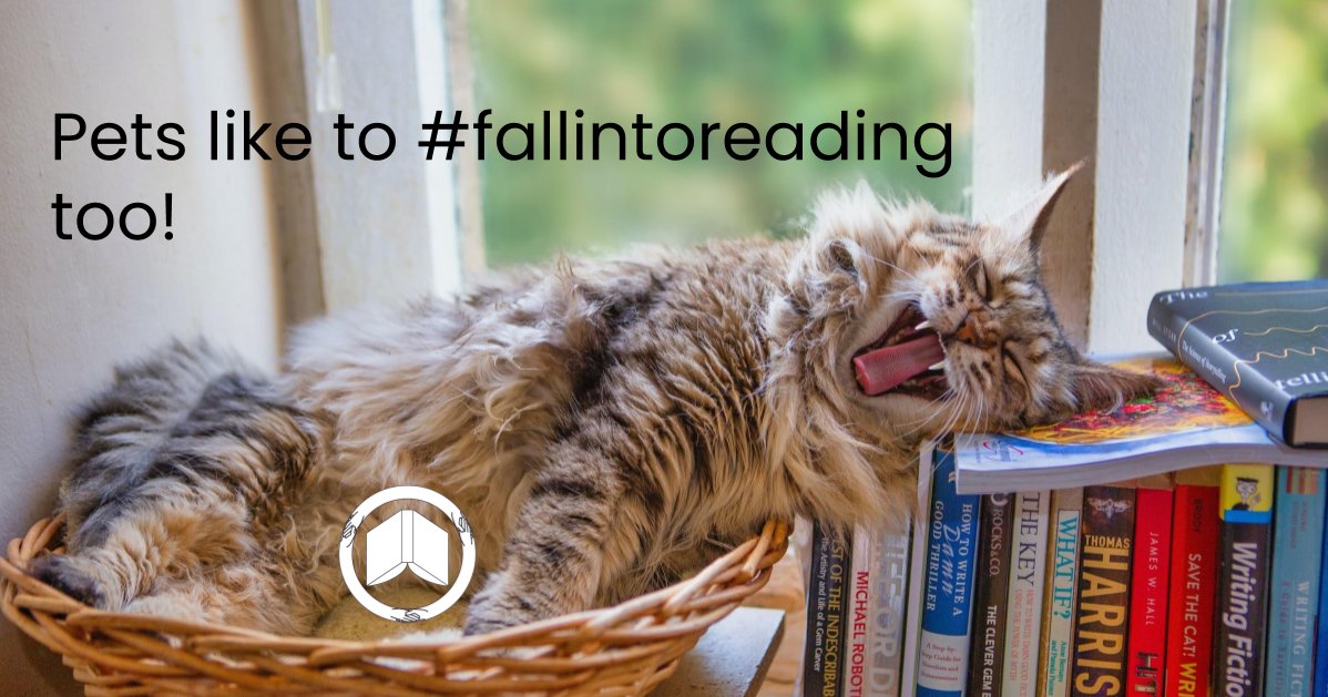 hlburkewriter's tweet image. Time for some #library love! Reply and tag your local library! Don’t forget to add #fallintoreading for a chance to win the $25 Amazon GC! #bookish #books #amreading #reading #lovebooks #readingcommunity #writingcommunity #writerscafe #entertowin #libraries #lovemylibrary
