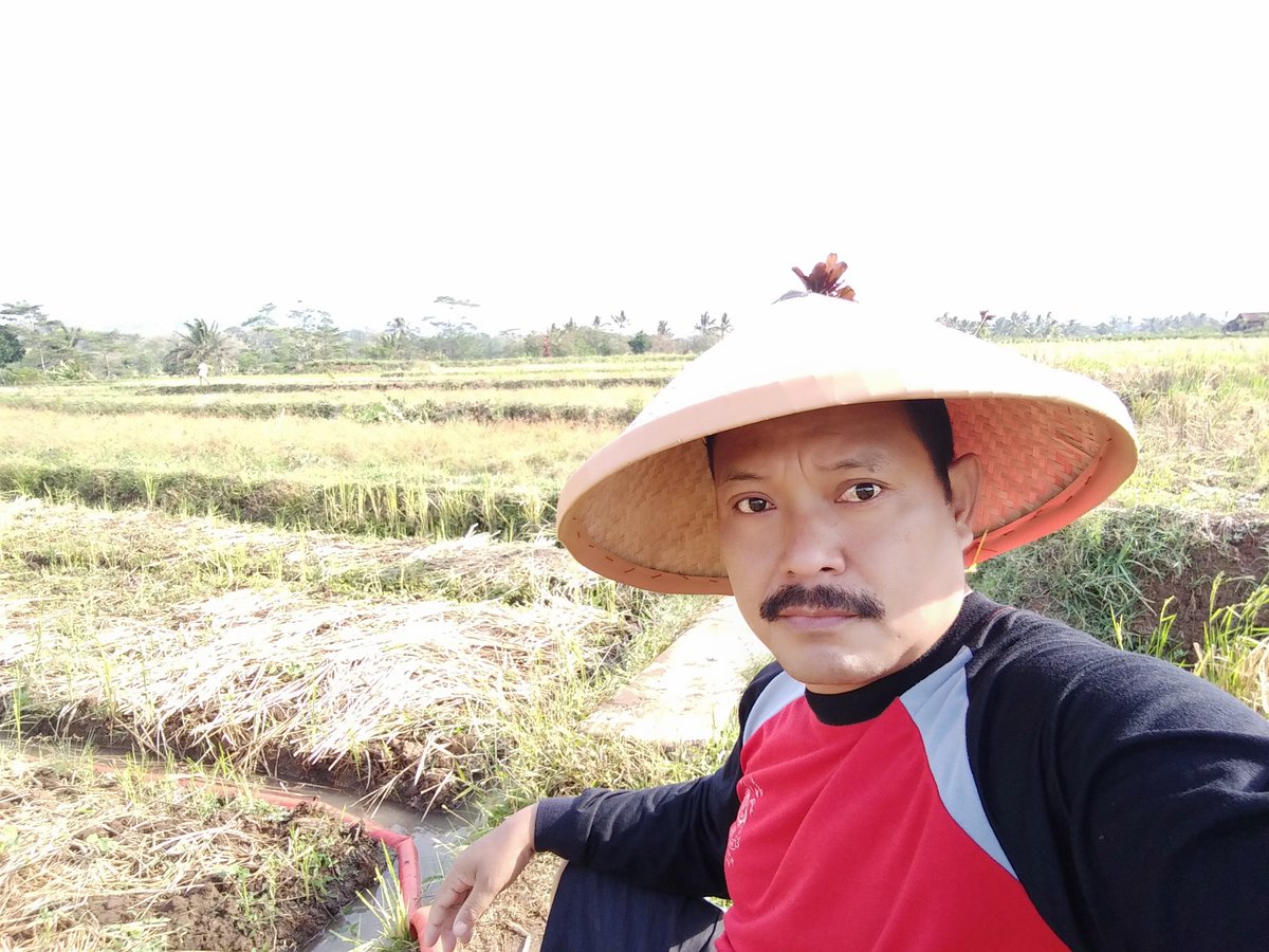 didisardi76's tweet photo. Semangat  wujudkan ketahanan pangan salah satunya kita tanam JALE ,,, @kementan @ridwankamil @yosuparyo @CCiborete @Agustinsmart @sukarni https://t.co/c5rJx48sIS