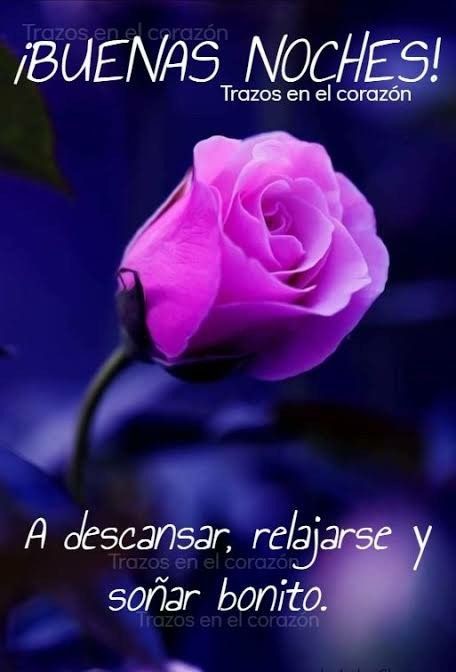 Sannet Juárez on Twitter: Sannet Juárez on Twitter:
